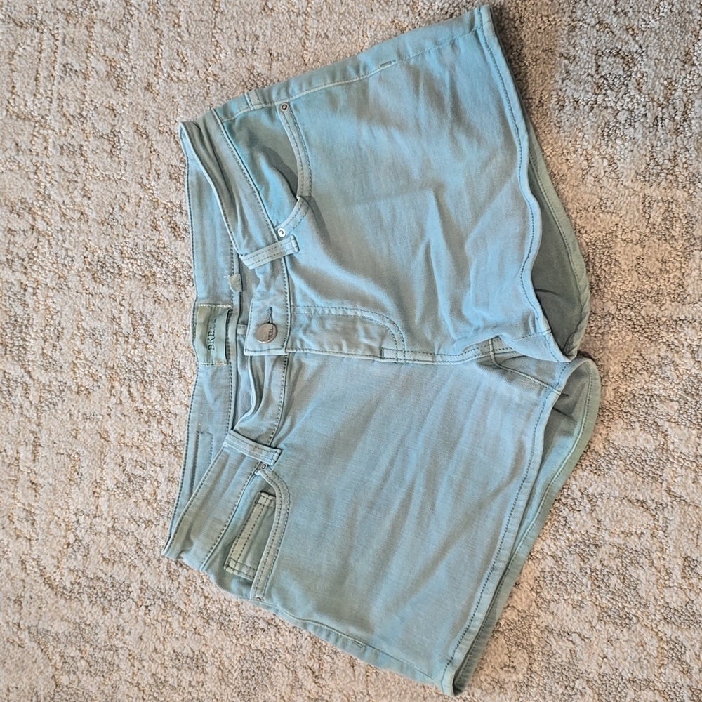 BKE Payton 27 Shorts